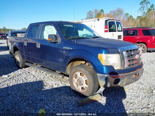 2009 FORD F-150 XL/XLT VIN: 1FTRW12859KA17084