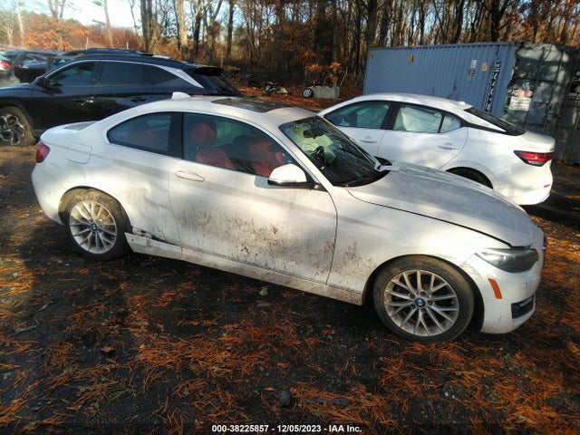 2016 BMW 228I XDRIVE VIN: WBA1G9C50GVX97260