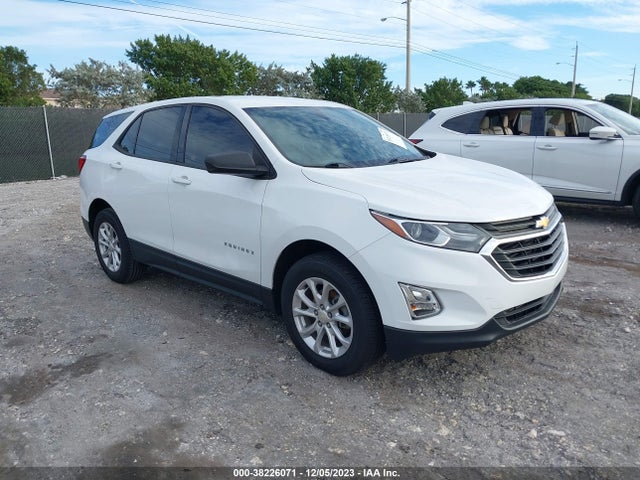 Chevrolet EQUINOX LS 2019 3GNAXHEV9KS575753 Image 1