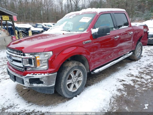 1FTEW1EP8JFE33239 Ford F-150 Xlt
