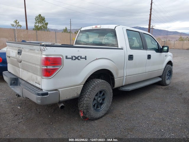 2011 FORD F-150 XL VIN: 1FTFW1EF7BFC28699