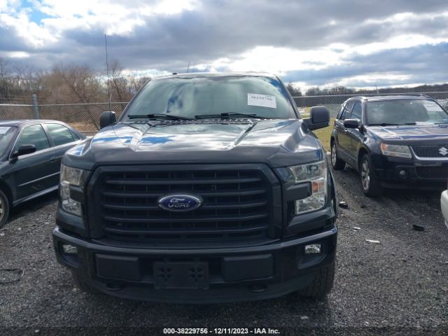 1FTEW1EP7FFB36910 Ford F-150 Xlt