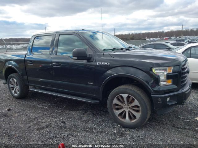 1FTEW1EP7FFB36910 Ford F-150 Xlt