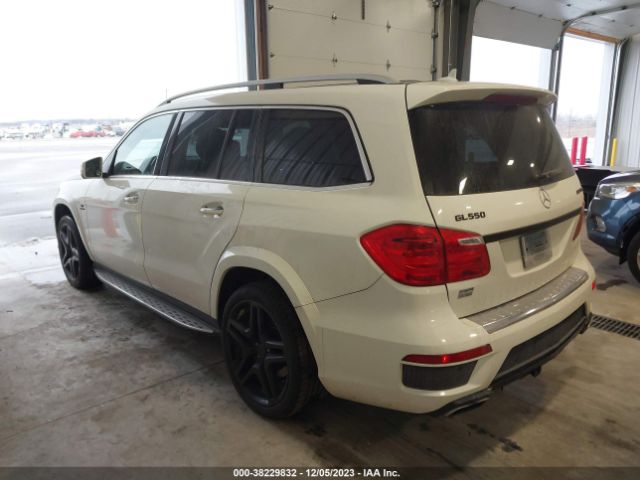 2013 MERCEDES-BENZ GL 550 4JGDF7DE9DA217640 Photo 2