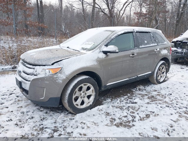 Ford EDGE SEL 2014 2FMDK4JC2EBA13457 Image 2