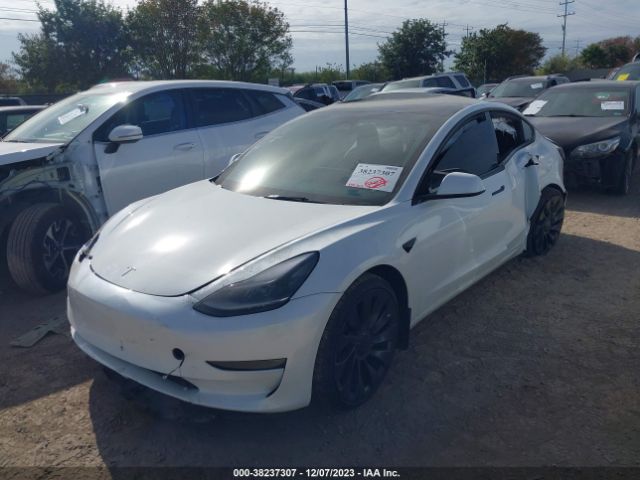 2023 TESLA MODEL 3 5YJ3E1EC1PF480617 Photo 1