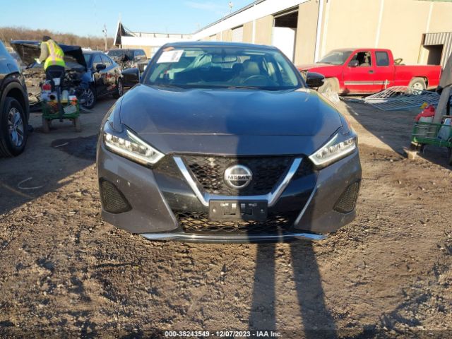 1N4AA6AV5KC364713 Nissan Maxima 3.5 Sl