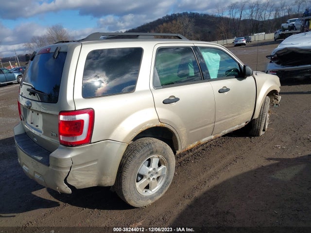 2011 FORD ESCAPE XLT VIN: 1FMCU0DG5BKA37346