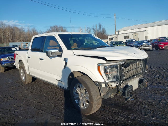 2021 FORD F-150 PLATINUM VIN: 1FTFW1ED4MFB18727