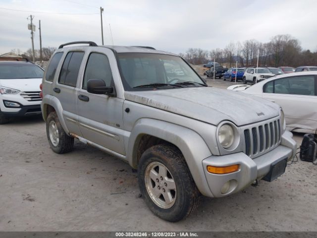 Auction sale of the 2002 Jeep Liberty Limited, vin: 1J4GL58K72W151212, lot number: 38248246