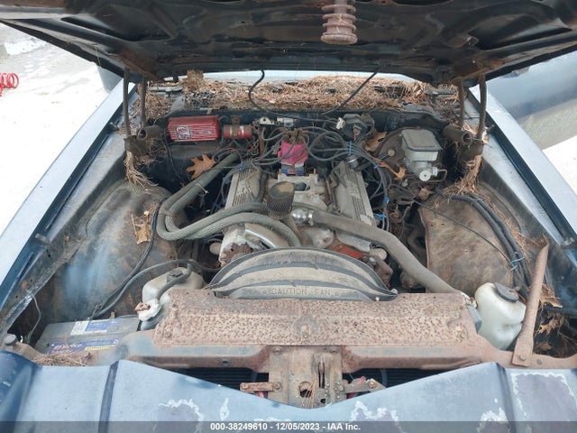 1981 CHEVROLET CAMARO VIN: 1G1AP87H3BN131397