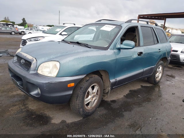 2002 HYUNDAI SANTA FE LX/GLS VIN: KM8SC13DX2U175979