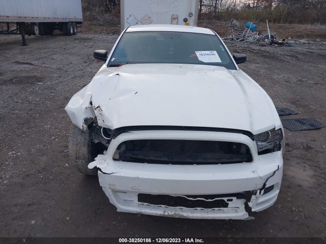 2013 FORD MUSTANG V6 VIN: 1ZVBP8AMXD5215508
