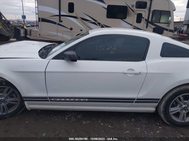2013 FORD MUSTANG V6 VIN: 1ZVBP8AMXD5215508