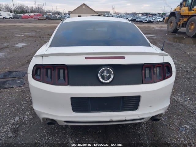 2013 FORD MUSTANG V6 VIN: 1ZVBP8AMXD5215508