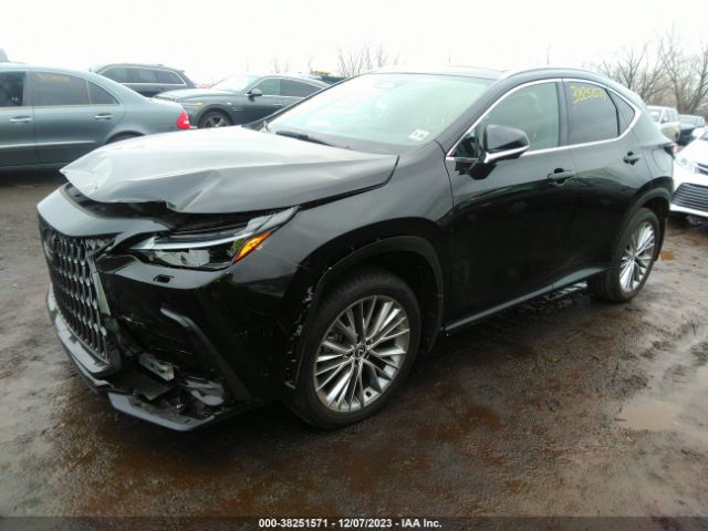 2T2HGCEZ3RC041437 Lexus Nx 350 Luxury