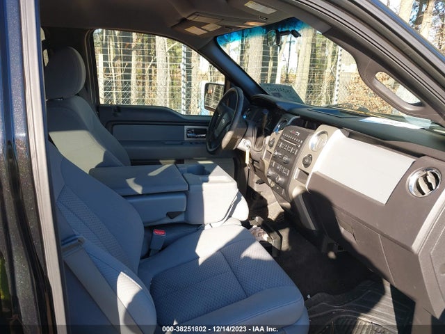2011 FORD F-150 XLT VIN: 1FTFW1EF6BFB00356