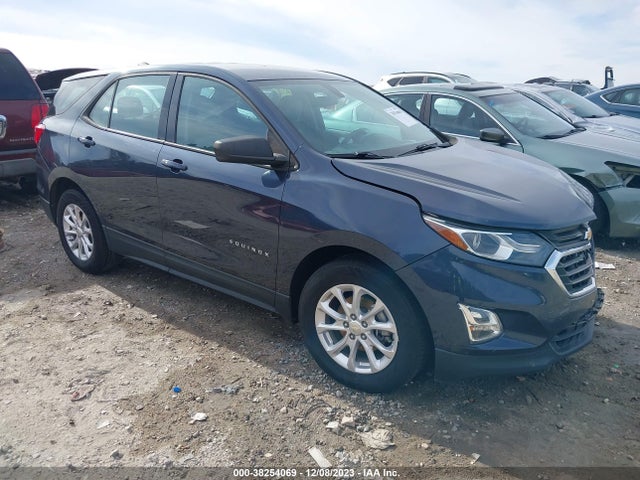 Chevrolet EQUINOX LS 2019 3GNAXHEV9KS523846 Image 1