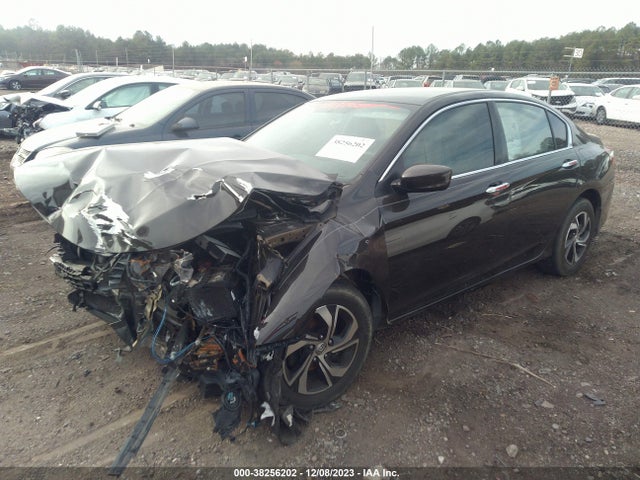 2016 HONDA ACCORD LX VIN: 1HGCR2F3XGA175099