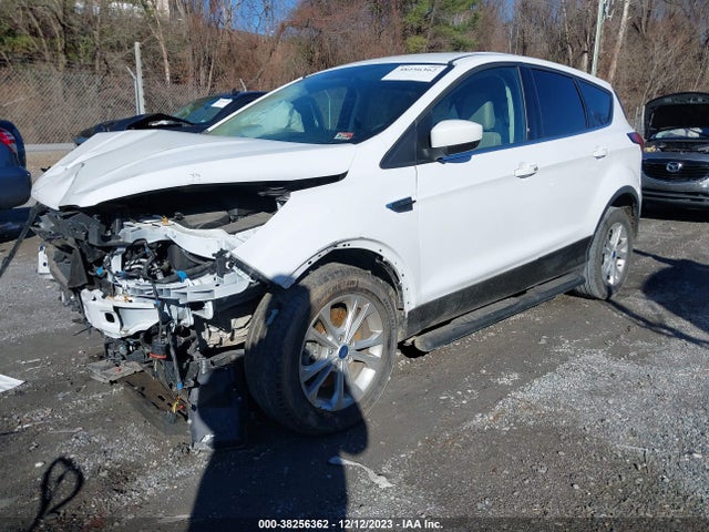 2019 FORD ESCAPE SE VIN: 1FMCU9GD5KUB21922