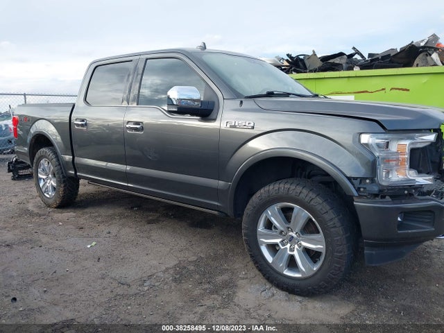 Ford F-150 Platinum 2019 1FTEW1E41KFB48809 Image 14