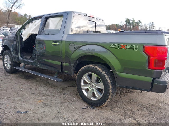 Ford F-150 Platinum 2019 1FTEW1E41KFB48809 Image 15