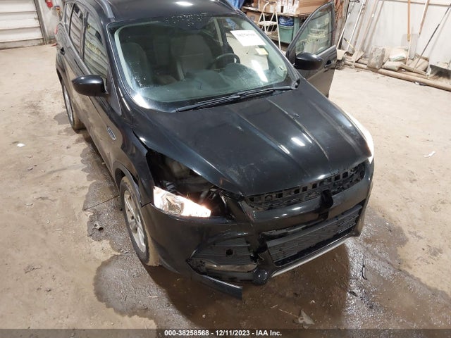 2014 FORD ESCAPE SE VIN: 1FMCU9GX7EUB41877