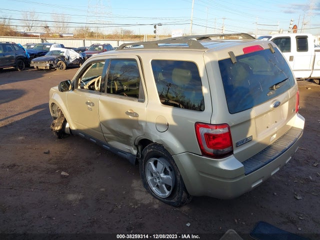 2011 FORD ESCAPE XLT VIN: 1FMCU0DG9BKB89842