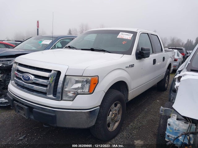2010 FORD F-150 XL/XLT VIN: 1FTEW1E89AFB81428