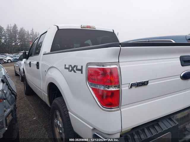 2010 FORD F-150 XL/XLT VIN: 1FTEW1E89AFB81428