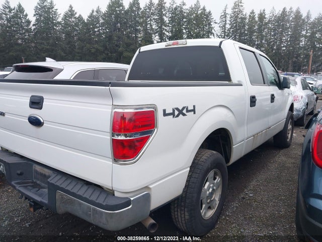 2010 FORD F-150 XL/XLT VIN: 1FTEW1E89AFB81428