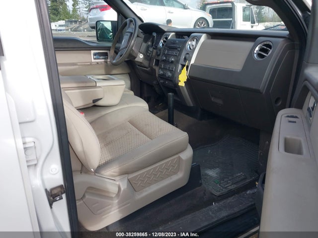 2010 FORD F-150 XL/XLT VIN: 1FTEW1E89AFB81428