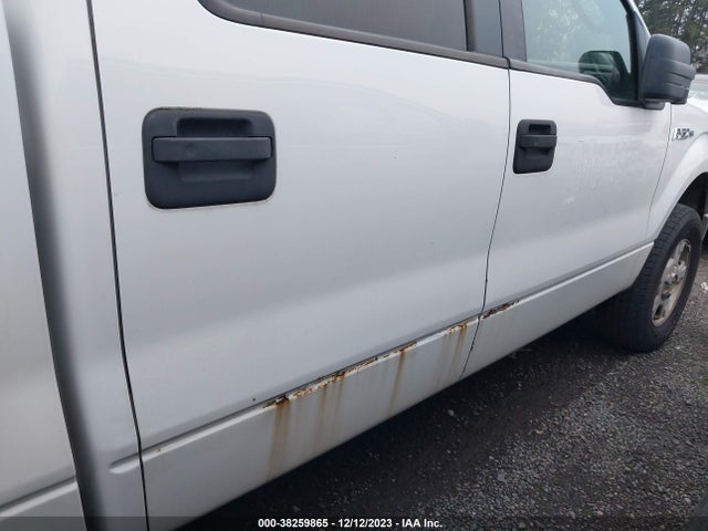 2010 FORD F-150 XL/XLT VIN: 1FTEW1E89AFB81428
