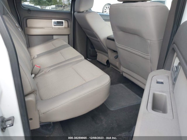 2010 FORD F-150 XL/XLT VIN: 1FTEW1E89AFB81428