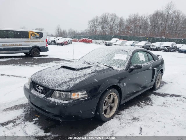2004 FORD MUSTANG GT VIN: 1FAFP42X64F112138