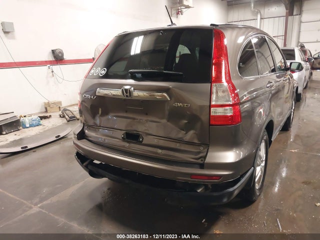 2010 HONDA CR-V EX-L VIN: 5J6RE4H74AL077143