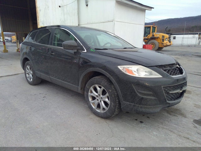 2011 MAZDA CX-9 SPORT VIN: JM3TB3BVXB0332846