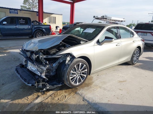 2021 LEXUS ES 300H VIN: 58ADA1C13MU012719