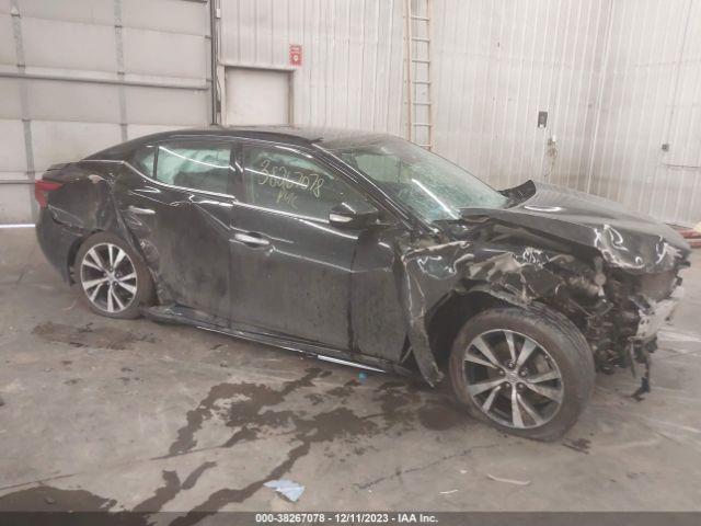 1N4AA6AP2GC431213 Nissan Maxima 3.5 Platinum