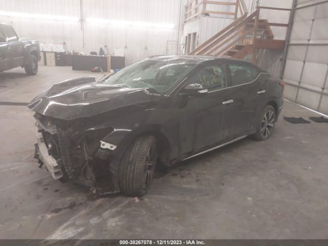1N4AA6AP2GC431213 Nissan Maxima 3.5 Platinum