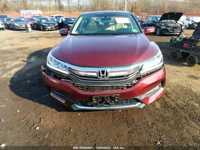 Honda ACCORD EX 2016 1HGCR2F79GA228877 Image 12