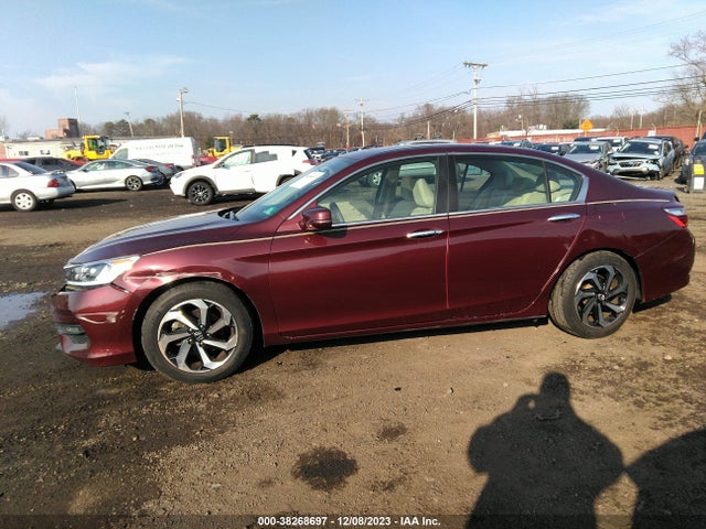 Honda ACCORD EX 2016 1HGCR2F79GA228877 Image 14