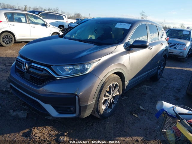 Honda Cr-v Awd Ex 2022 5J6RW2H59NA007378 Image 2