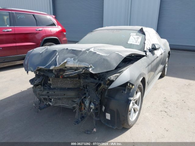 1FA6P8AM4H5290947 Ford Mustang V6