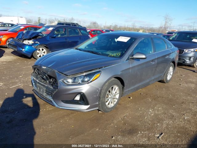5NPE24AF5KH784465 Hyundai SONATA SE