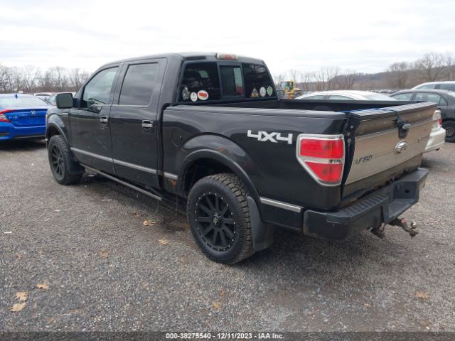 2010 FORD F-150 1FTFW1EV4AFC05340 Photo 2