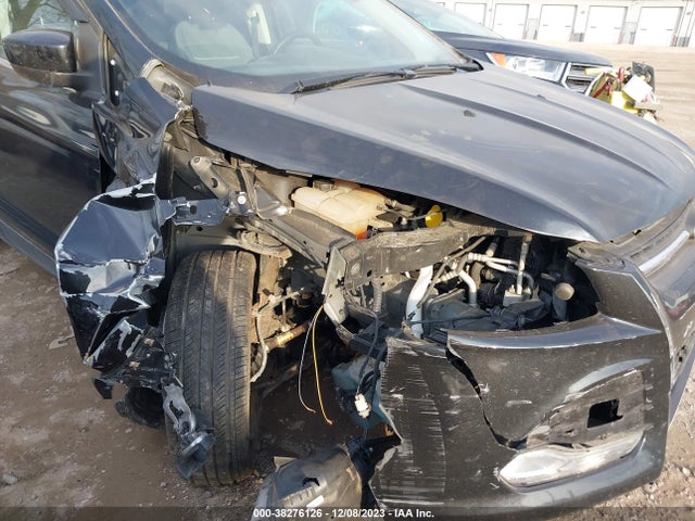 Ford ESCAPE SE 2014 1FMCU0GX4EUD18462 Image 6