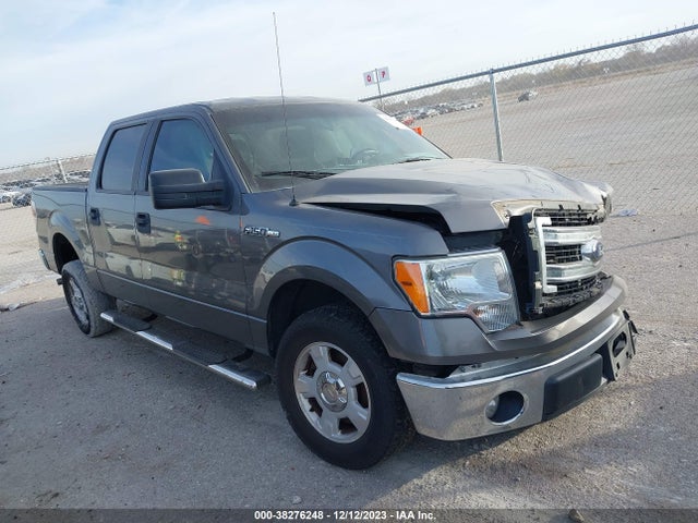 2013 FORD F-150 XLT VIN: 1FTEW1CM1DFB76275