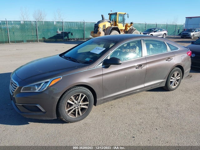 Hyundai Sonata 2.4l 2016 5NPE24AF2GH418082 Image 2