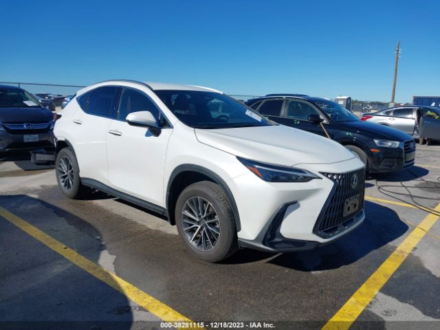 2022 LEXUS NX JTJADCAZ6N2004571